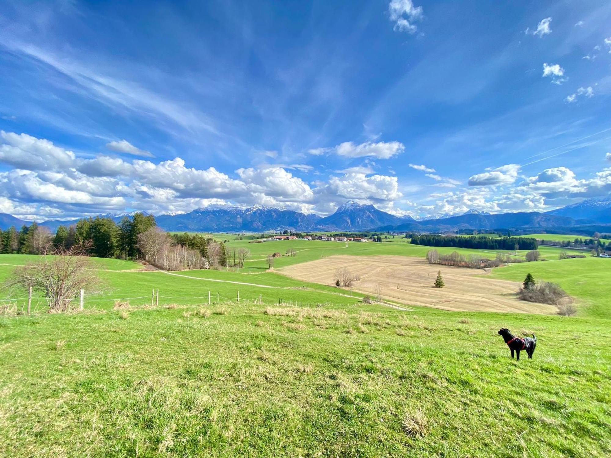 Butler Lovebirds I Kueche I Parken I Bergblick I Seenaehe